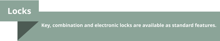 Locks  Key, combination and electronic locks are available as standard features.